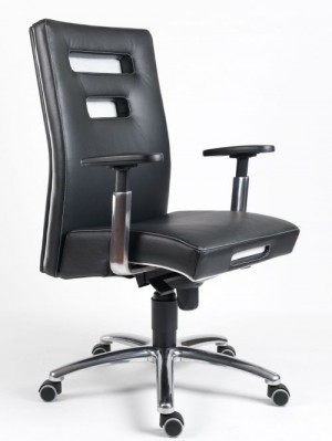 Luxusní kožené křeslo